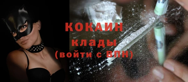 сатива Кинешма