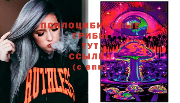 ПСИЛОЦИБИНОВЫЕ ГРИБЫ Алзамай