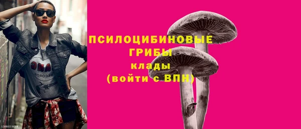мяу мяу мука Алексеевка