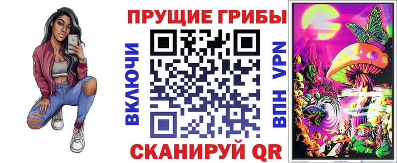 сколько стоит  Приозерск  Псилоцибиновые грибы GOLDEN TEACHER 